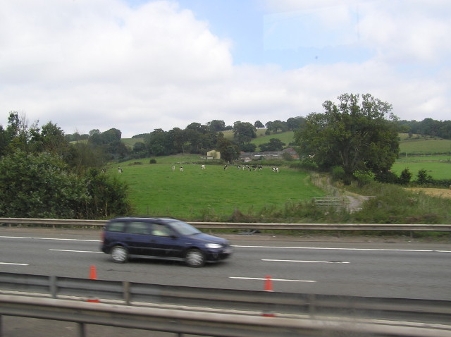 img0042.jpg