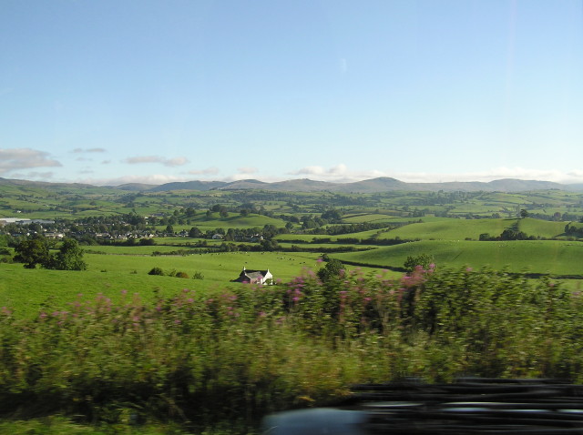 img0007.jpg