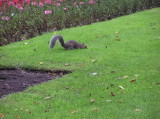 img0032.jpg